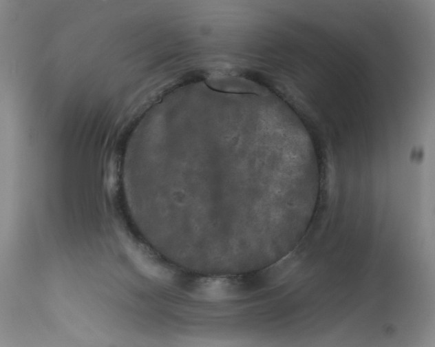 X0000113220074200910011356