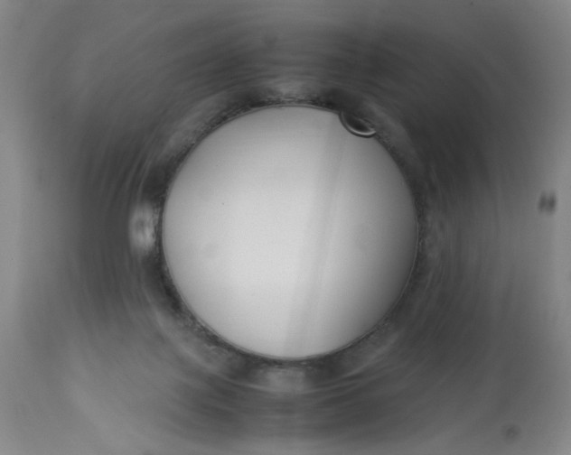 X0000113220075200910011356