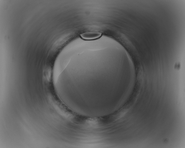 X0000113220076200910011356