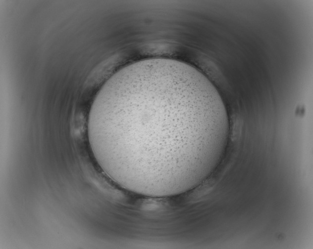 X0000113220077200910011356