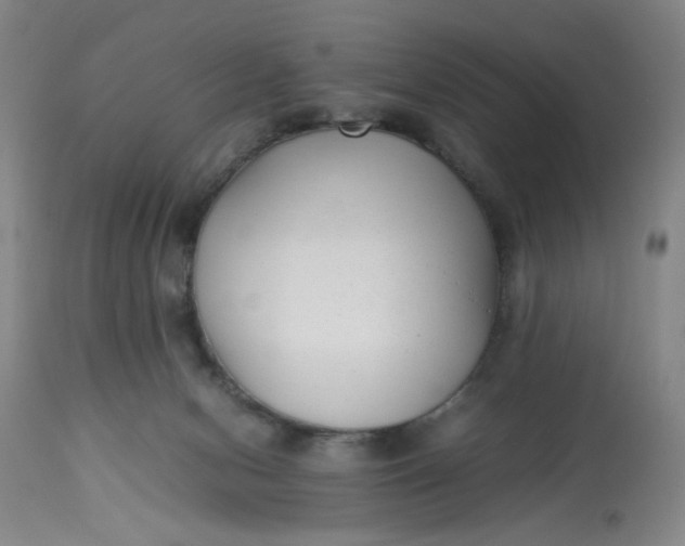 X0000113220078200910011356