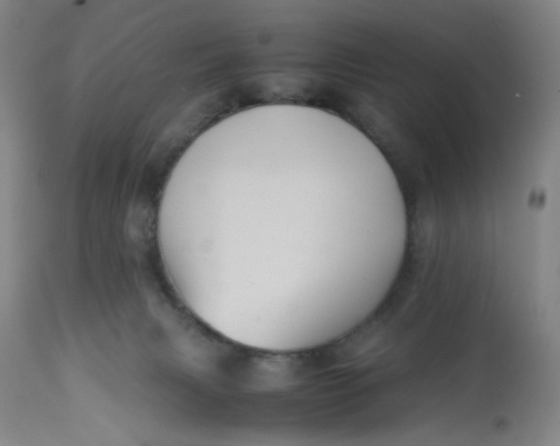 X0000113220079200910011356