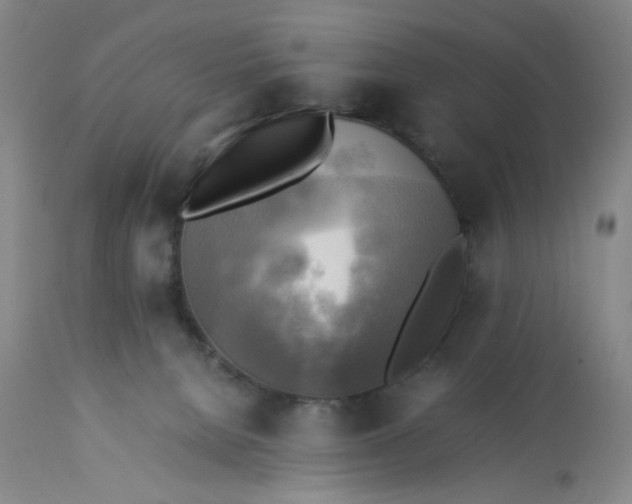 X0000113220080200910011356