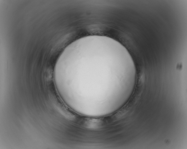 X0000113220081200910011356