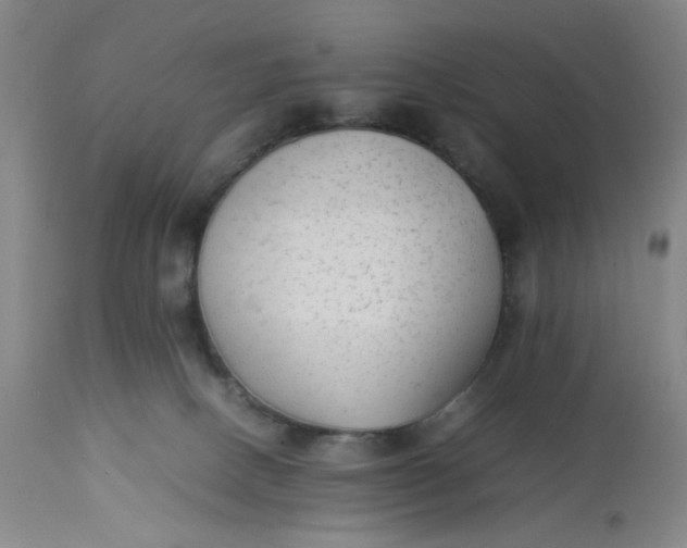 X0000113220082200910011356