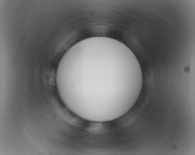 X0000113220083200910011356