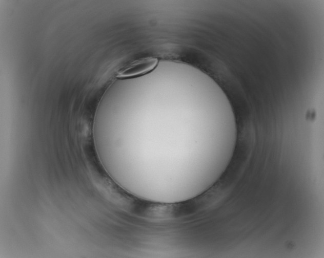 X0000113220084200910011356