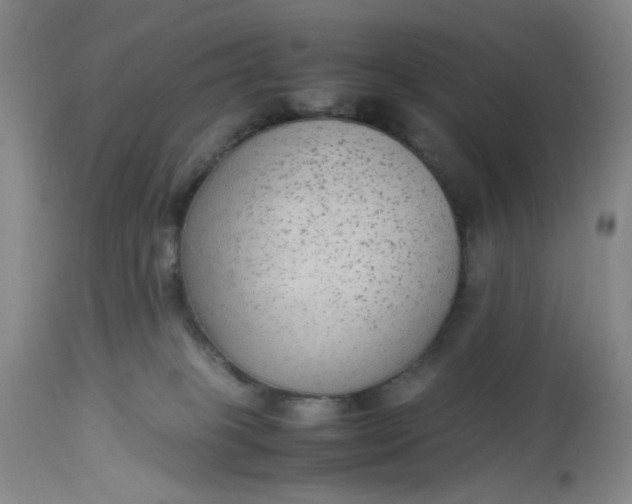X0000113220085200910011356
