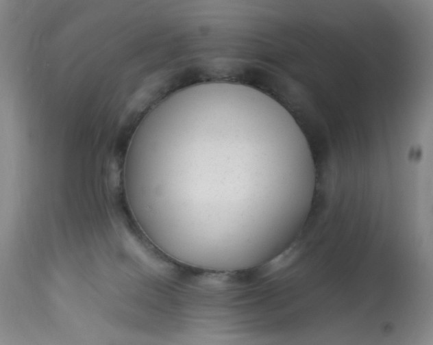 X0000113220086200910011356