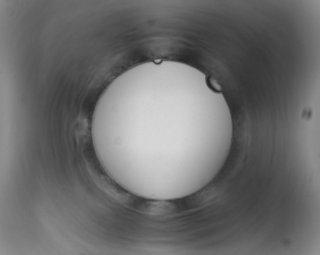 X0000113220087200910011356