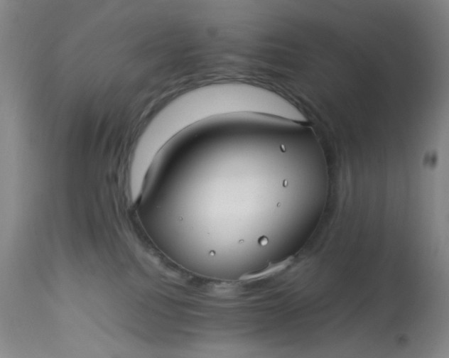 X0000113220088200910011356