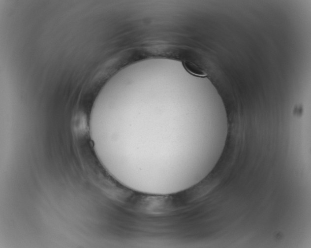 X0000113220089200910011356