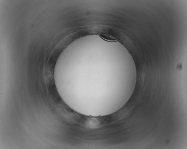 X0000113220091200910011356