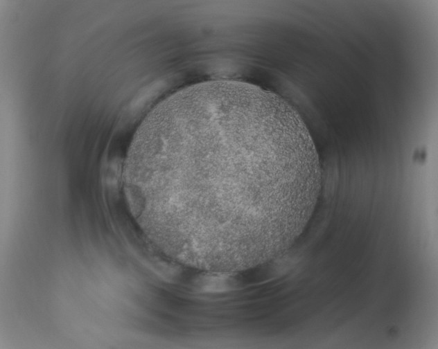 X0000113220093200910011356