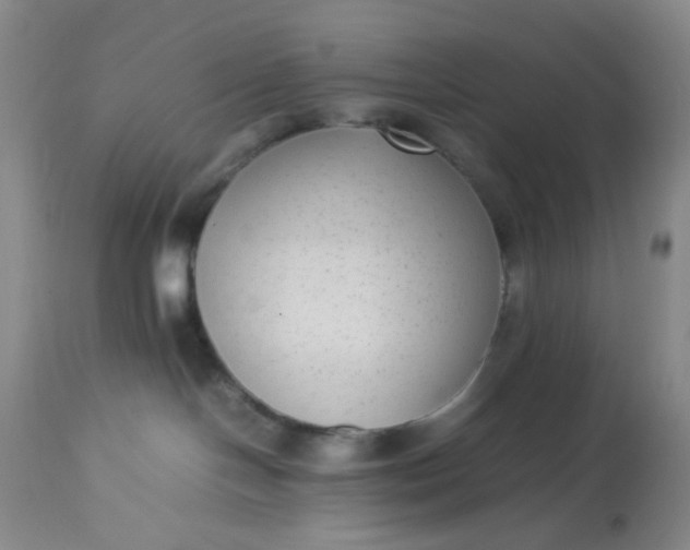 X0000113220094200910011356