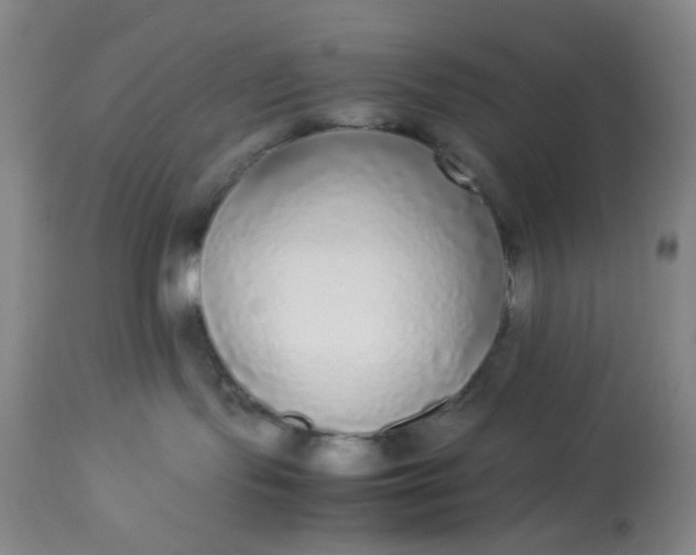 X0000113220095200910011356