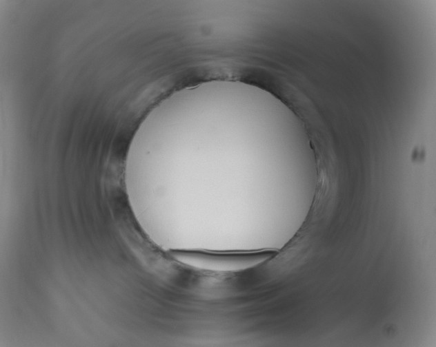 X0000113220096200910011356