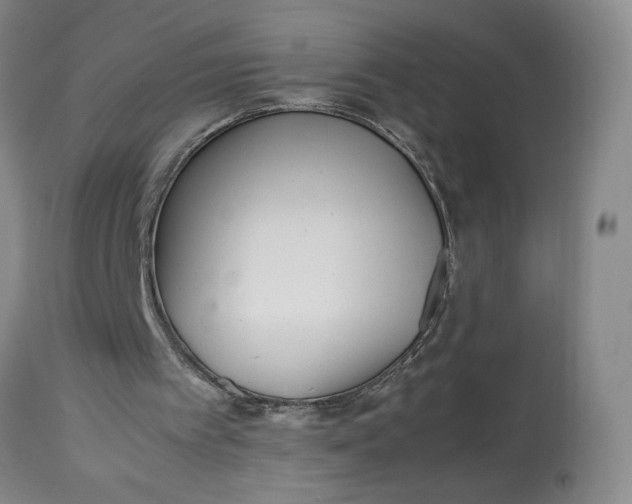 X0000113220097200910011355