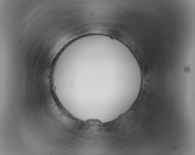 X0000113220098200910011355