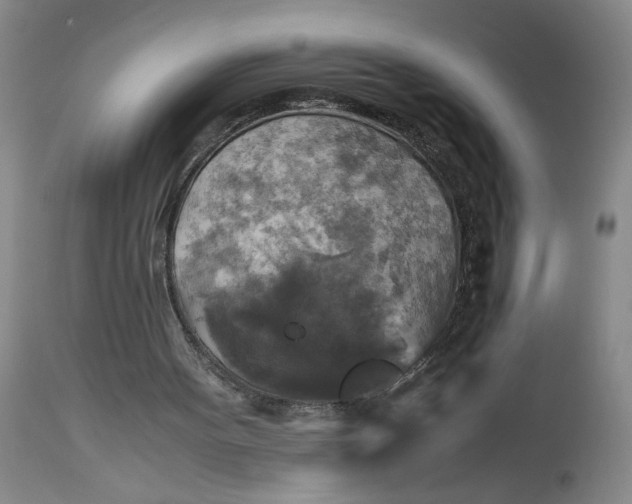 X0000113220099200910011355