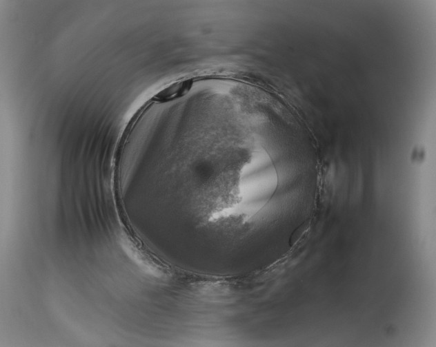 X0000113220100200910011355
