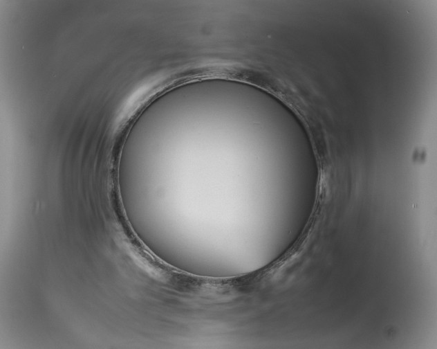 X0000113220101200910011355