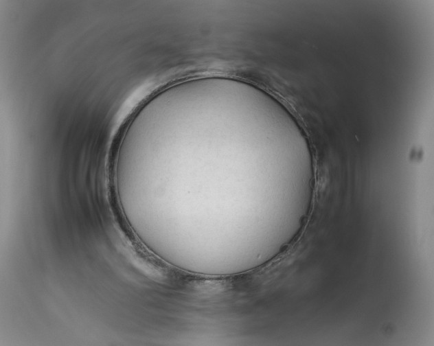 X0000113220102200910011355