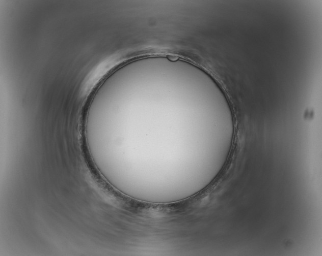 X0000113220103200910011355