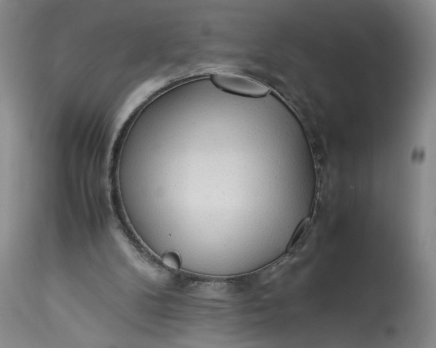 X0000113220104200910011355