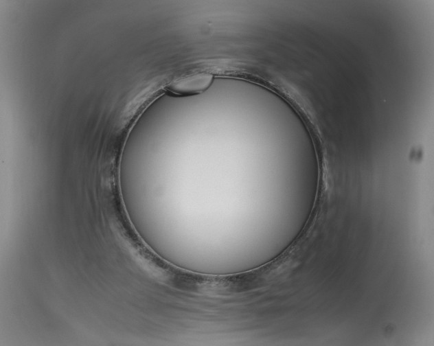 X0000113220105200910011355