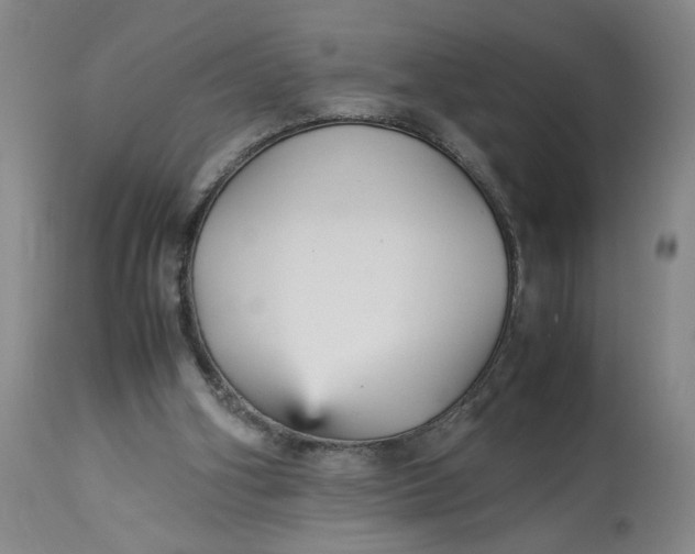 X0000113220106200910011355