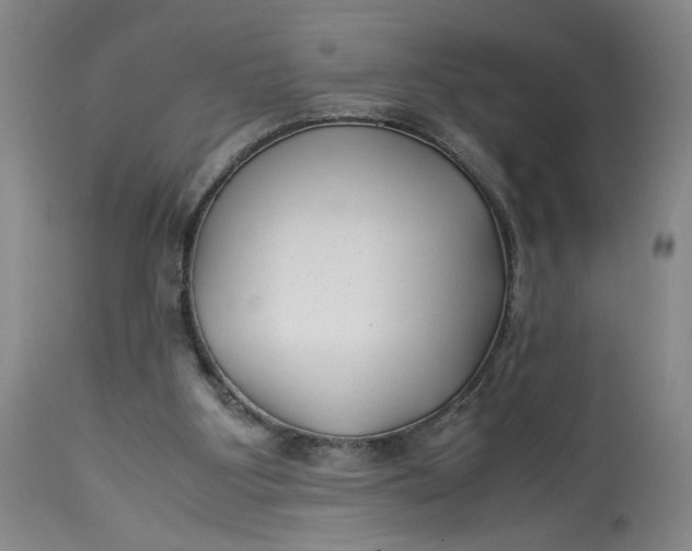 X0000113220107200910011355