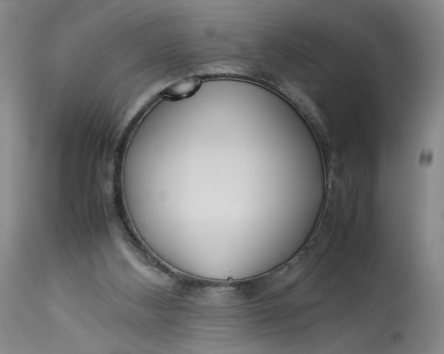 X0000113220108200910011355