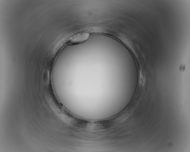 X0000113220109200910011355
