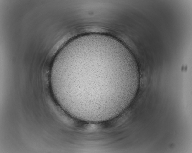 X0000113220111200910011355