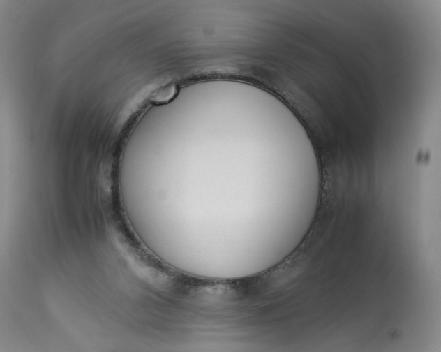 X0000113220112200910011355