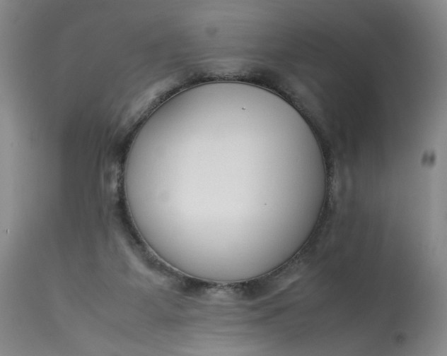 X0000113220115200910011355