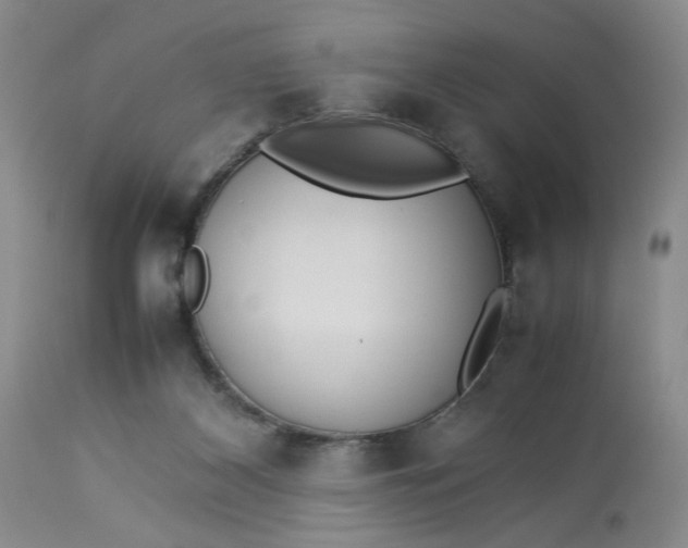 X0000113220116200910011355