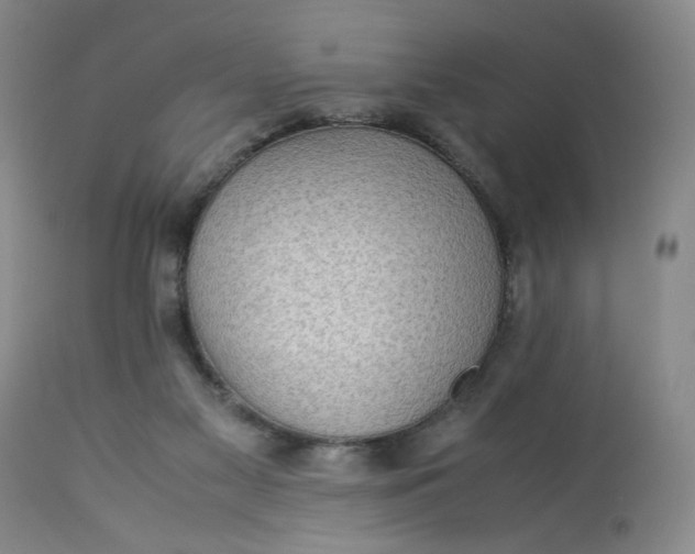 X0000113220117200910011355