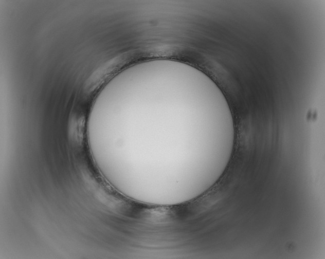 X0000113220118200910011355