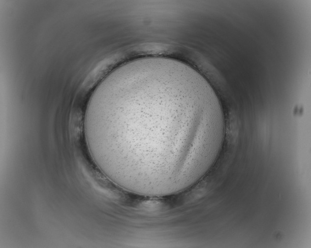 X0000113220119200910011355