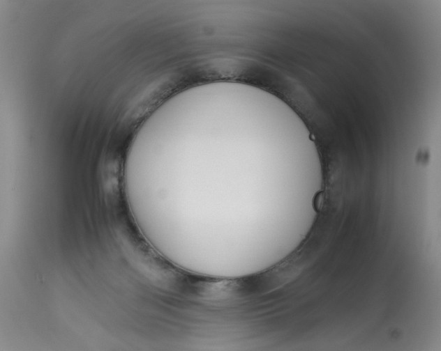 X0000113220122200910011355