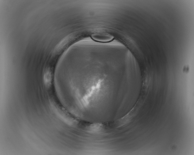 X0000113220124200910011355
