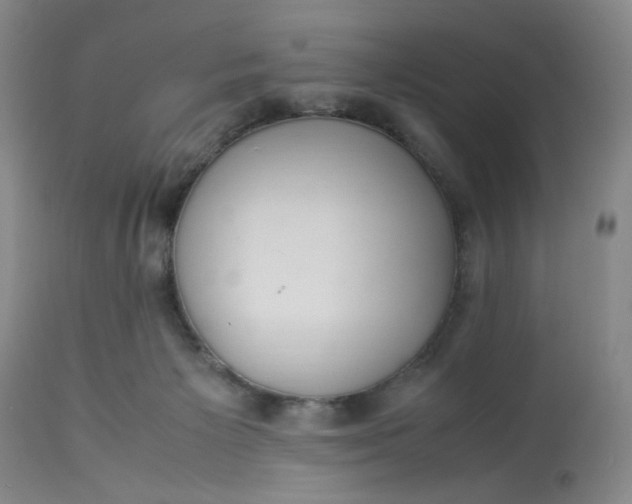 X0000113220125200910011355