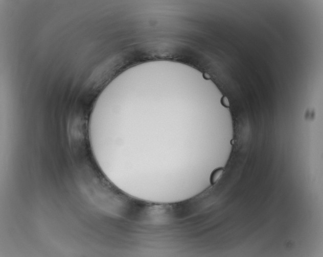 X0000113220126200910011355