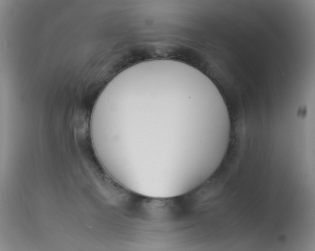 X0000113220129200910011355