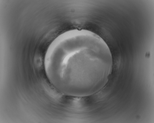 X0000113220130200910011355