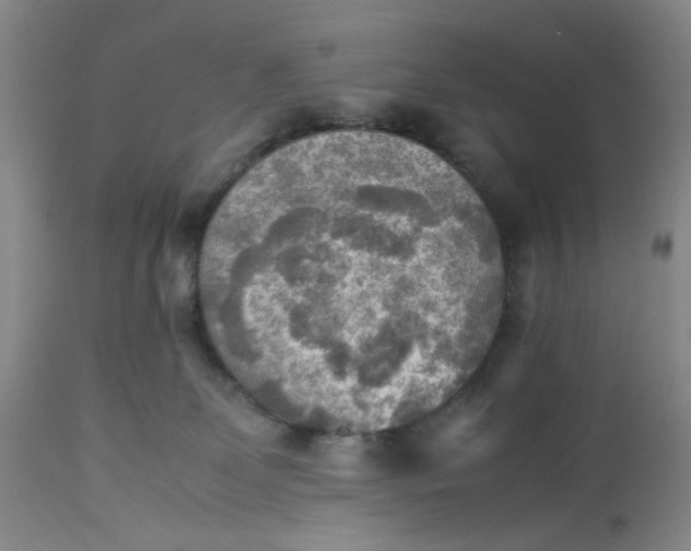 X0000113220131200910011355