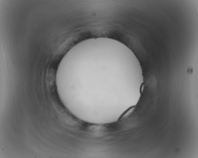 X0000113220133200910011355