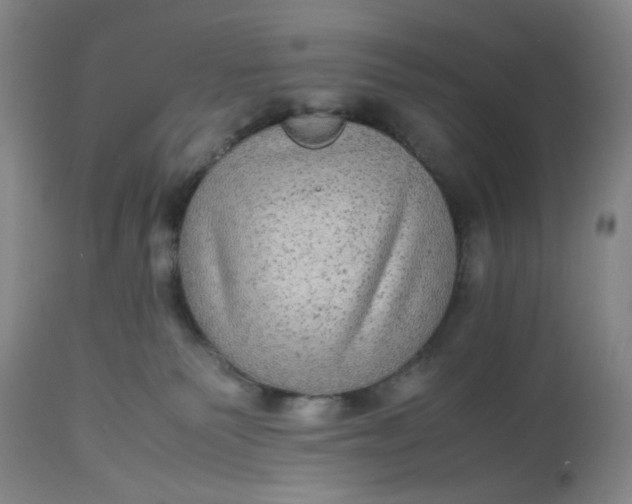 X0000113220135200910011355